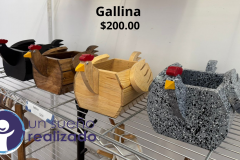 Gallina